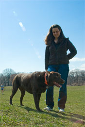 Dog training
