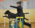 Agility