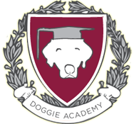 Doggie Academy