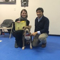 Dog Training Graduation
