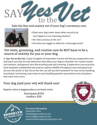 Say Yes to the Vet
