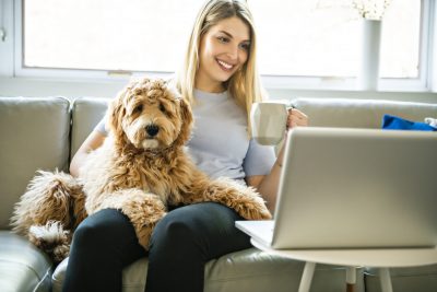 Online Courses, Puppy Training